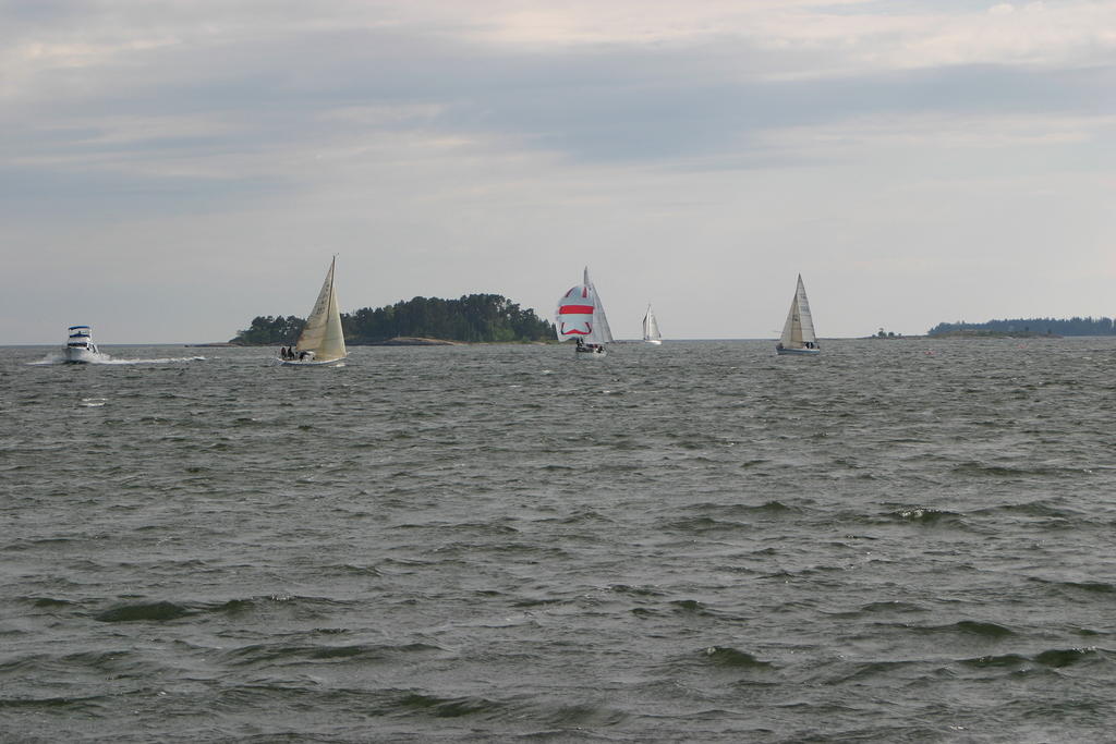 IMG 2880
