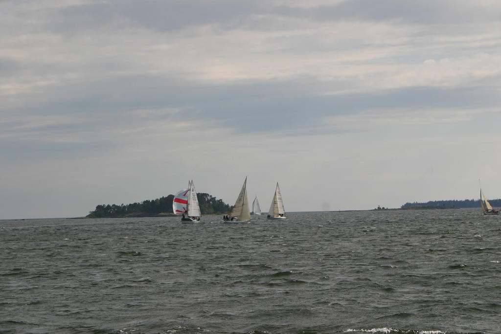 IMG 2882
