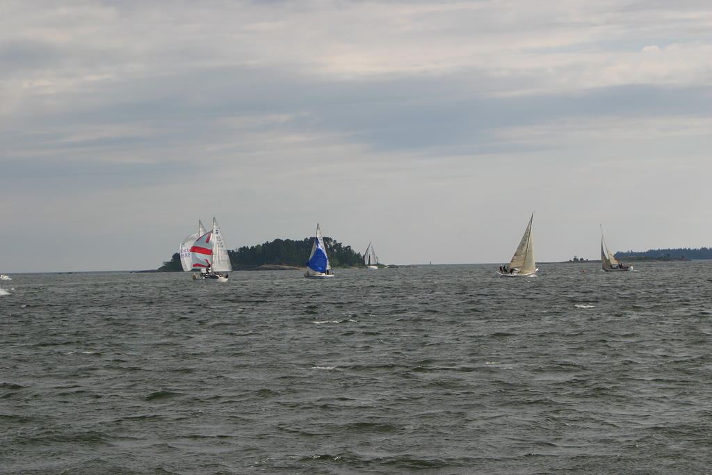 IMG 2884