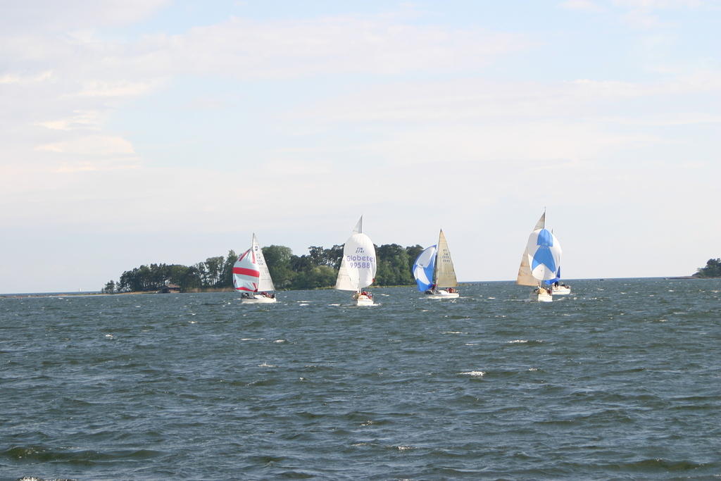 IMG 2969