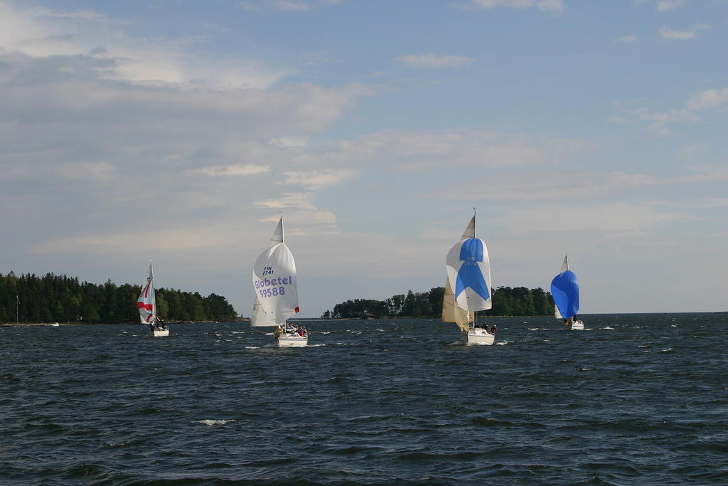 IMG 2974