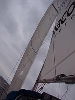 WB-sails genoa 3 2004