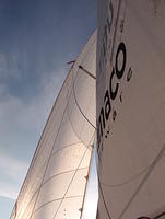 s/y Annelin ykkönen. WB-sails 1989 (?), bi-radial leikkaus.
Siis kuusitoista vuotta vanha kalvopurje.