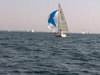 Hangon regatta 2006 046