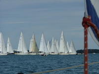 Etäisiä pohjanmaan serkkuja katsomassa (Swan regatta) 
