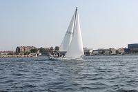 IMG 3488