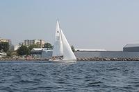 IMG 3489