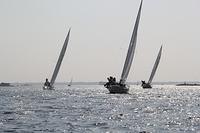 IMG 3498