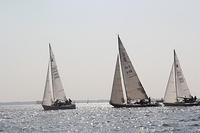 IMG 3501