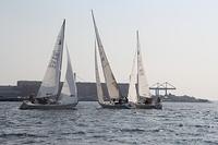 IMG 3502