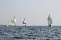 IMG 3515