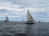 Hangon Regatta 2008