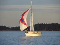 WHC11/13 © Panu Ranta