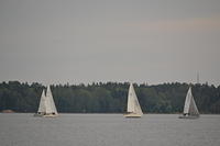 WHC2/14 © Panu Ranta