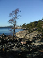 p1010096