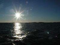 p1010139