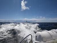 4.7 Ramsskär-träffenin yhteydessä järjestettiin Bengtskär-vierailu. 