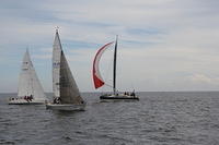 IMG 2374