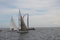 IMG 2375