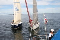 IMG 2661