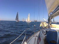 WB-sails around the buoys 2007 (IMS)