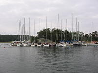 pyytinkari 2009 054