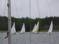 pyytinkari 2009 086