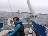Purjehdus viittakari 26.5 (54)