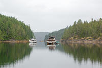 Foggy morning in Melanie Cove.