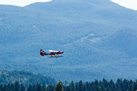 Busy sea plane traffic in Nanaimo.