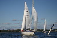 Fe-regatta 029