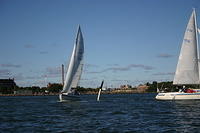 Fe-regatta 032