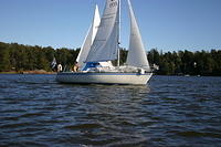 Fe-regatta 071