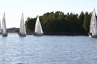 Fe-regatta 099