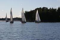 Fe-regatta 101