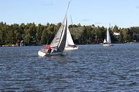 Fe-regatta 137