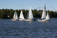 Fe-regatta 144
