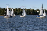 Fe-regatta 145