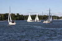 Fe-regatta 149