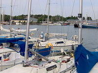 Hangon regatta 2006 006