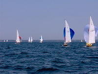 Hangon regatta 2006 051