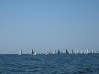 IMG_0655.jpg