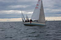 DSC 3552
© Risto