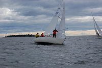 DSC 3553
© Risto