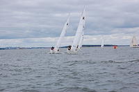 DSC 3839
© Risto