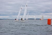 DSC 3841
© Risto