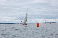 DSC 3898
© Risto