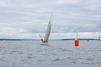 DSC 3899
© Risto
