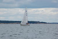 DSC 3918
© Risto