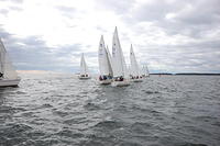 DSC 4016
© Risto